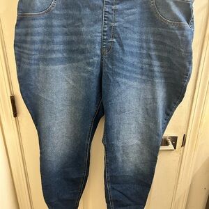 Terra & Sky Relaxed Fit Denim Jeans